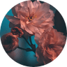 Tiyasha