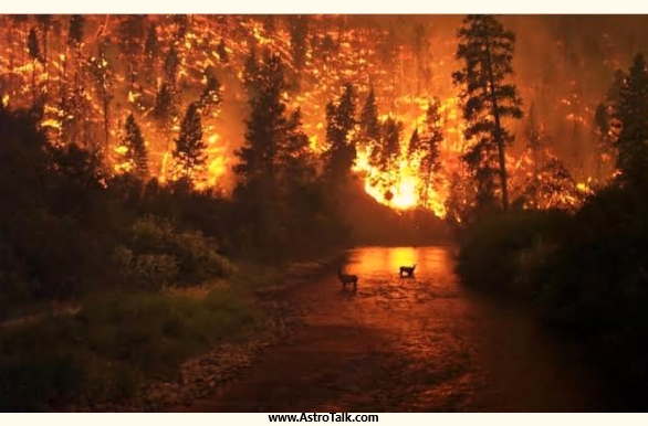 Amazon rainforest flames 