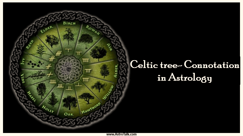 Celtic tree- Connotation in Astrology