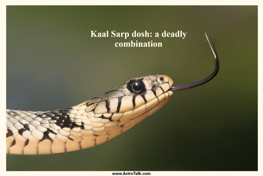 Kaal Sarp dosh a deadly combination AstroTalk Blog Online