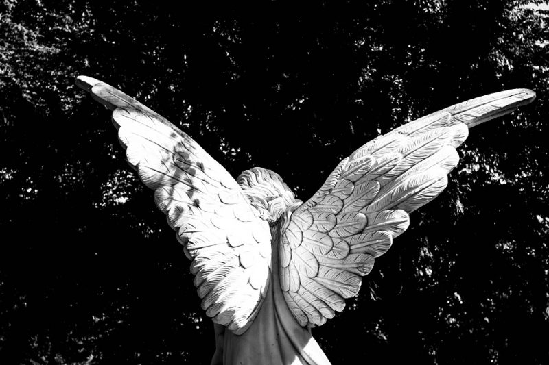 how angel numbers can change your life
