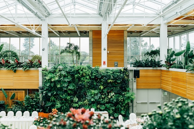 7 Benefits of indoor plants – Did You Know?
