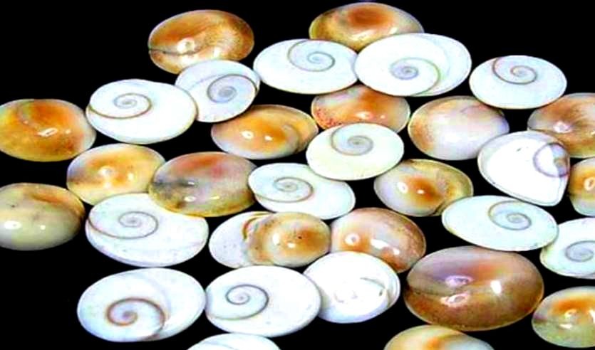 Gomti Chakra- To Remove Evil Eye and Gain Financial Blessing