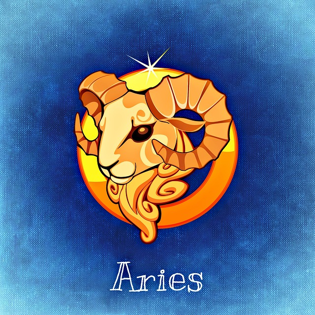 Aries: The Energetic Analyzer