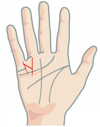 Palmistry 2022- Do You Have These Lucky Signs In Your Hand?- My Jyotish