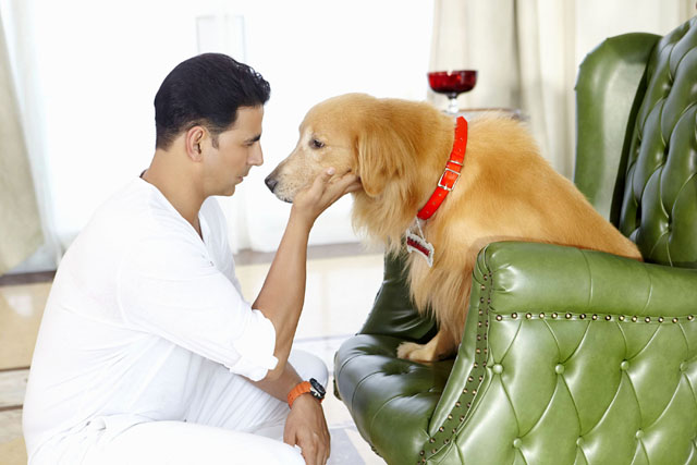 8 Zodiac signs who love pets