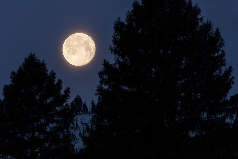 Full Moon night on March 7, 2023 on the occasion of Phalguna Purnima
