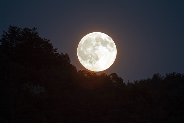 zoidac Full Moon