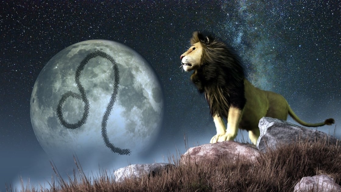 Leo Zodiac Sign: The Regal Kings and Queens of the Zodiac