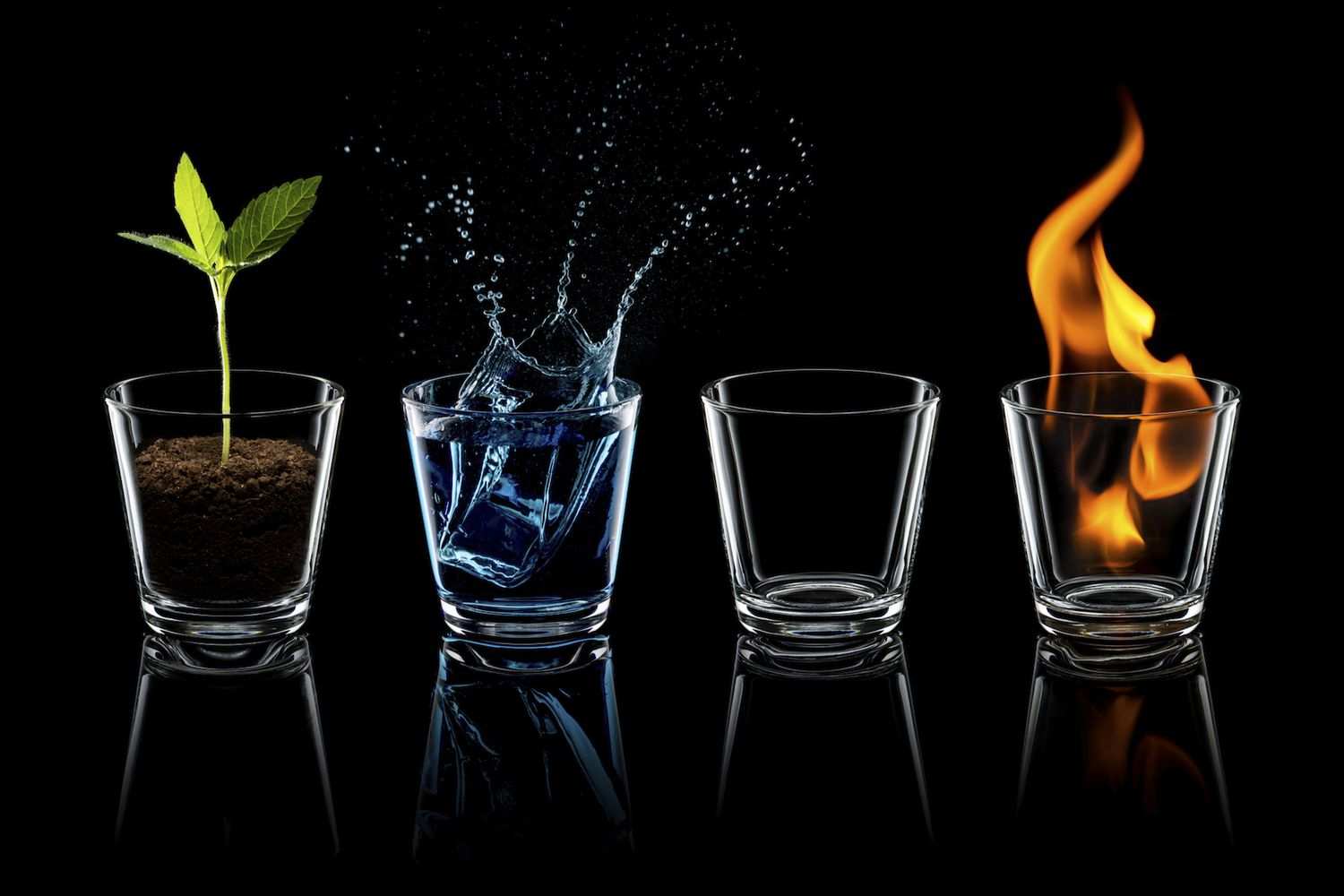 4 Elements of Astrology: Earth, Air, Fire, and Water Signs