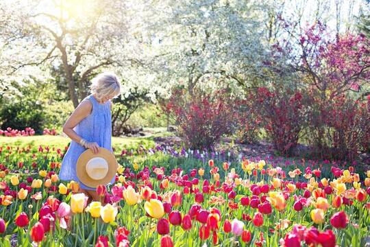 Top 5 Zodiac Gardeners