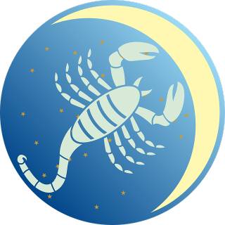 Scorpio: Delving into the Mysterious Scorpion – Personality, Habits, and Traits