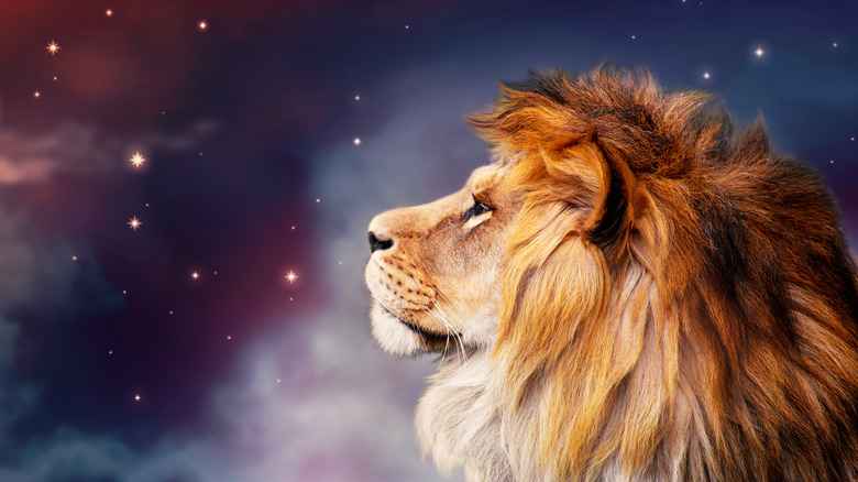 New Moon in Leo Horoscope – How It Affects 3 Zodiac Signs