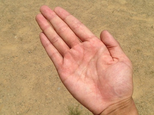 Travel Lines in Palmistry: How Big Of An Explorer Are You? The 'M' Shape in Your Palm Lines: Here's What It Could Mean