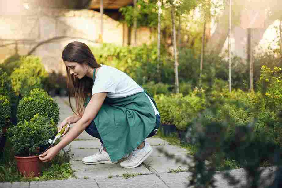 Top 7 Zodiac Signs and Their Gardening and Green Thumb Abilities